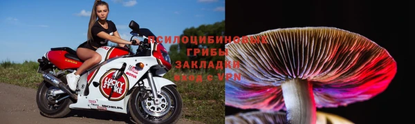 скорость Алексин