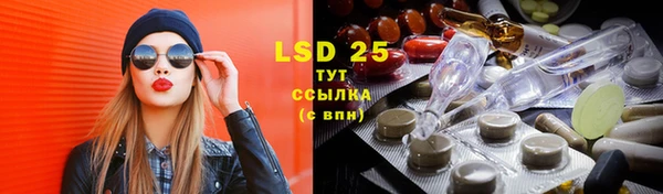 ECSTASY Алзамай