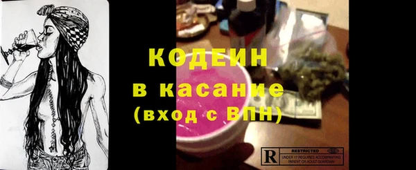 ECSTASY Алзамай