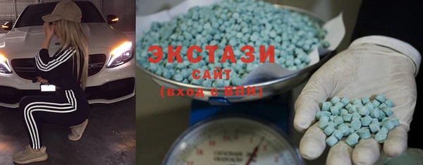 ECSTASY Алзамай