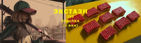 ECSTASY Алзамай