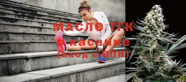 ECSTASY Алзамай