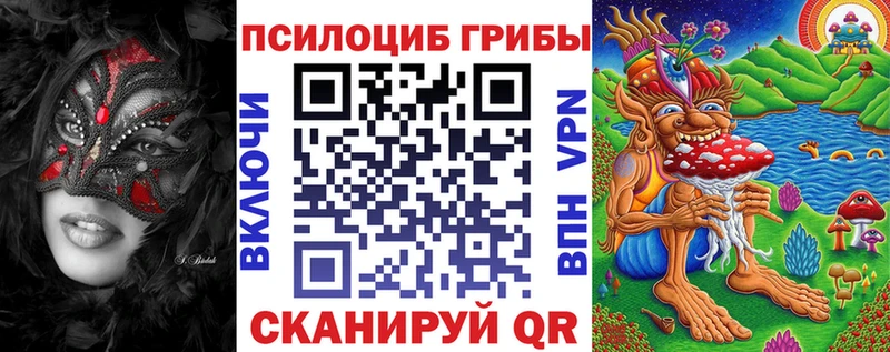 Галлюциногенные грибы ЛСД  МЕГА tor  Дмитровск  купить  сайты 