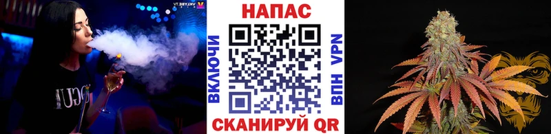 KRAKEN сайт  наркошоп  Дмитровск  Конопля AK-47 